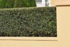 Acacia Plateaubarrier-wall-fencing-2.jpg; ?>